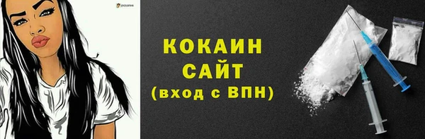 тгк Абаза