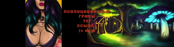 МДПВ Алексеевка