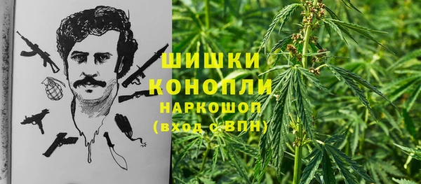 тгк Абаза