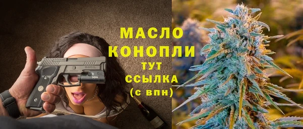 тгк Абаза